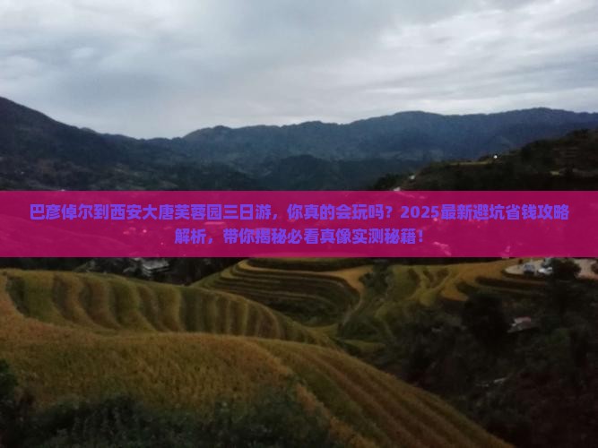 巴彦倬尔到西安大唐芙蓉园三日游