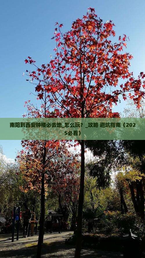 南阳到西安钟楼必去地