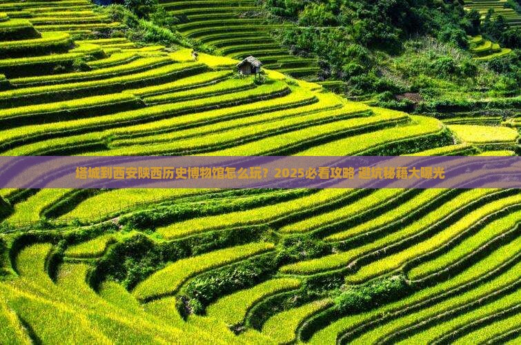 塔城到西安陕西历史博物馆旅行社
