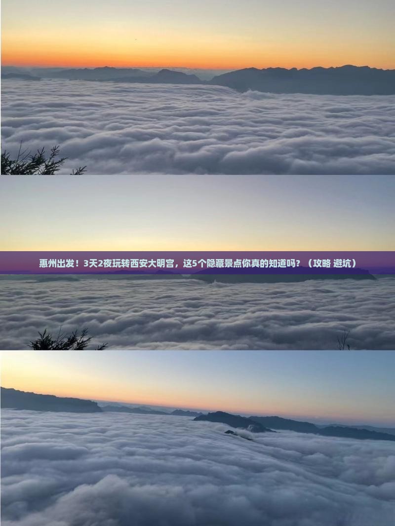 惠州到西安大明宫国家遗址公园大型旅游团