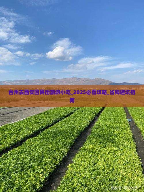 台州去西安回民街旅游小吃