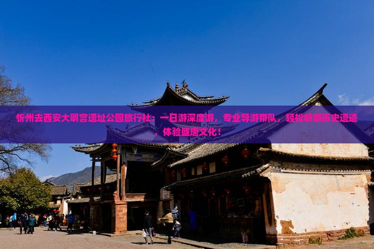 忻州去西安大明宫国家遗址公园旅行社