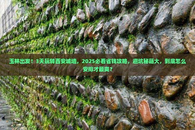 玉林到西安城墙五日游
