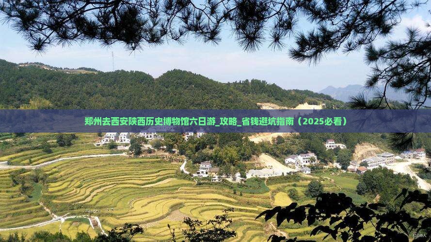 郑州去西安陕西历史博物馆六日游