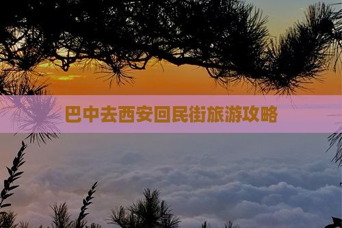巴中去西安回民街大型旅游团