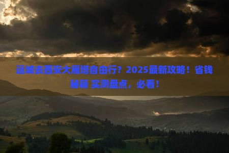运城去西安大雁塔自由团