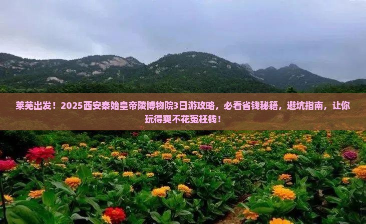 莱芜到西安秦始皇帝陵博物院旅游