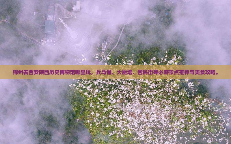 锦州去西安陕西历史博物馆哪里玩