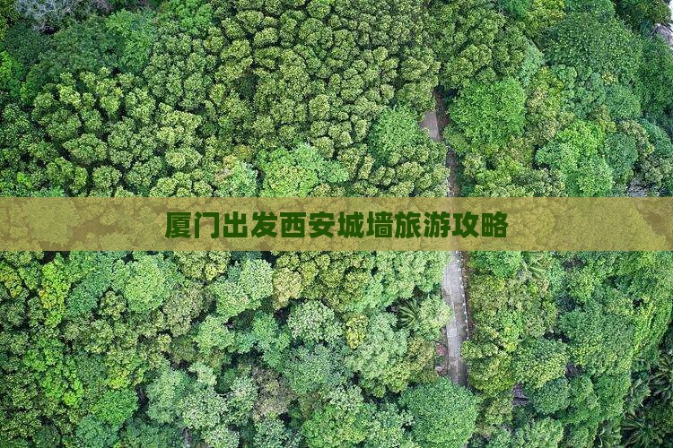 厦门去西安城墙自由团