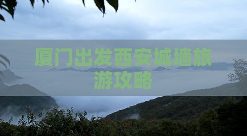 厦门去西安城墙自由团