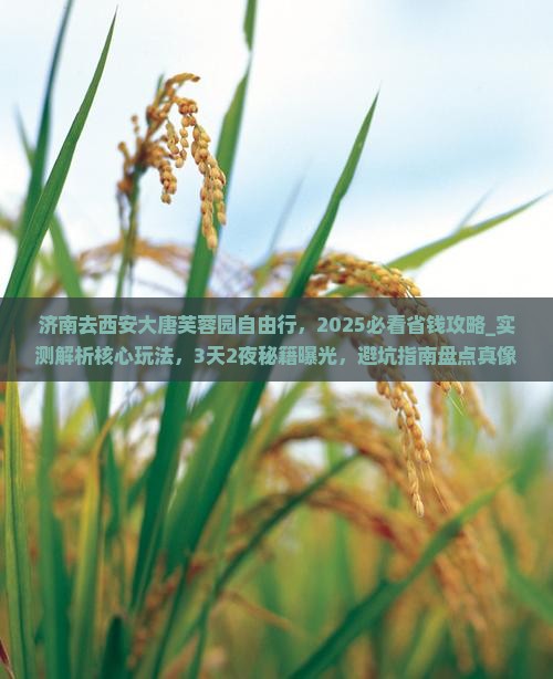 济南去西安大唐芙蓉园自由行
