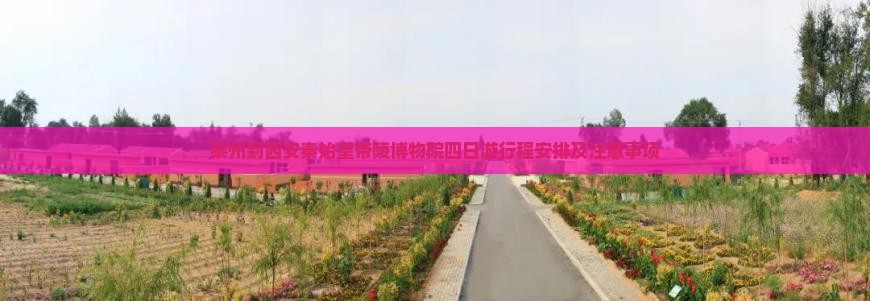 泰州到西安秦始皇帝陵博物院四日游