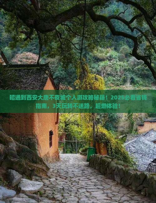 昭通到西安大唐不夜城个人游