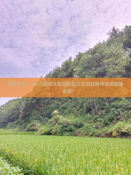 肇庆到西安大明宫国家遗址公园三日游