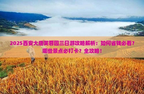 八月去西安大唐芙蓉园三日游