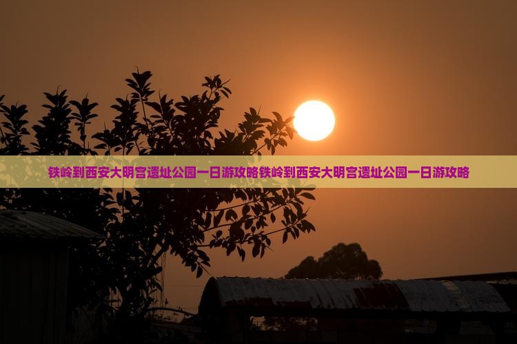 铁岭到西安大明宫国家遗址公园一日游