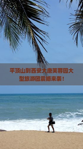 平顶山到西安大唐芙蓉园大型旅游团