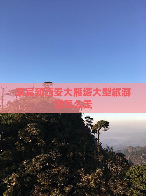 来宾到西安大雁塔大型旅游团