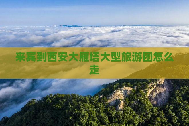来宾到西安大雁塔大型旅游团
