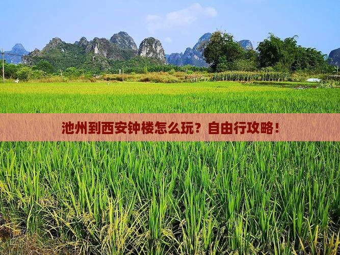 池州到西安钟楼自由行