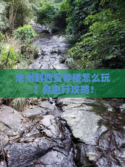 池州到西安钟楼自由行