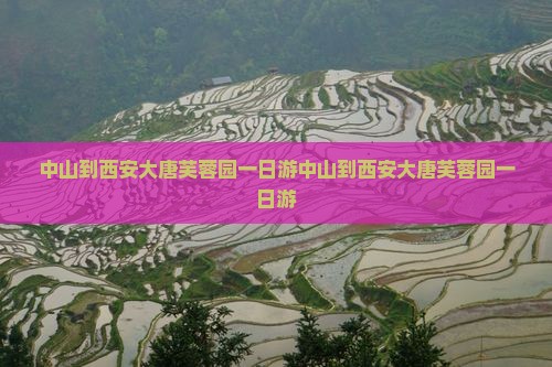 中山到西安大唐芙蓉园一日游
