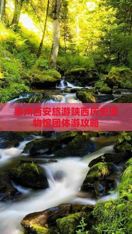 惠州去西安陕西历史博物馆团体旅游