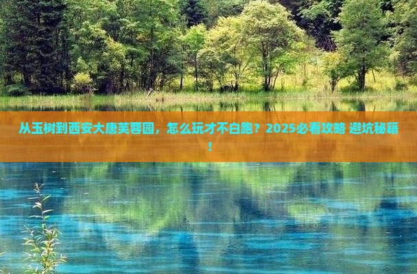 玉树到西安大唐芙蓉园哪里玩 玉树到西安大唐芙蓉园哪里玩