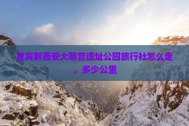 宜宾到西安大明宫国家遗址公园旅行社