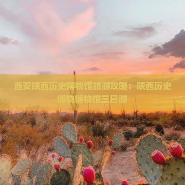 巢湖去西安陕西历史博物馆三日游