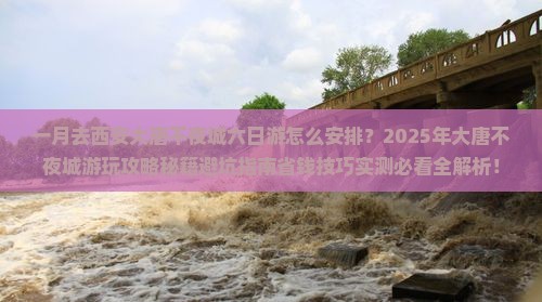 一月去西安大唐不夜城六日游