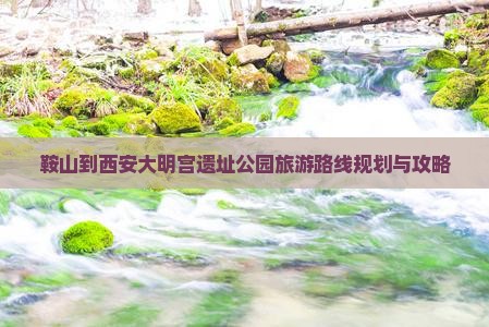 鞍山到西安大明宫国家遗址公园旅游