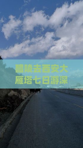 醴陵去西安大雁塔七日游