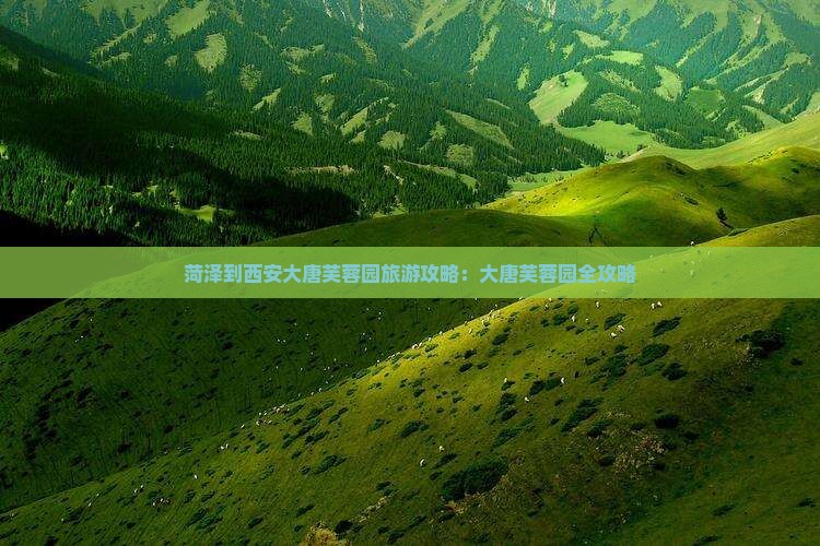 菏泽到西安大唐芙蓉园攻略