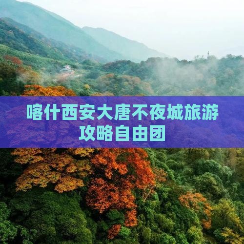 喀什去西安大唐不夜城自由团