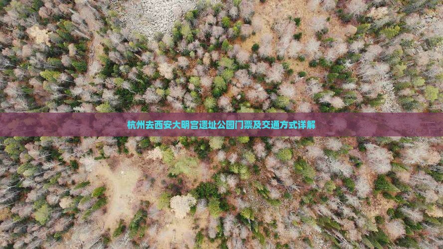 杭州去西安大明宫遗址公园门票及交通方式详解