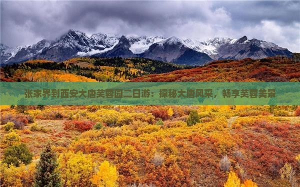张家界到西安大唐芙蓉园二日游：探秘大唐风采，畅享芙蓉美景