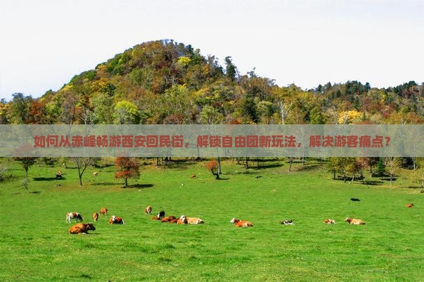 如何从赤峰畅游西安回民街，解锁自由团新玩法，解决游客痛点？