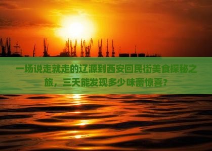 一场说走就走的辽源到西安回民街美食探秘之旅，三天能发现多少味蕾惊喜？