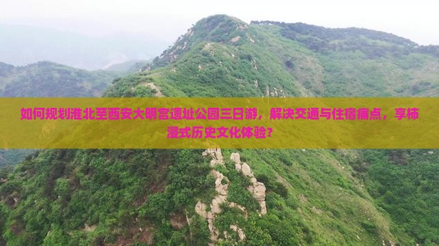如何规划淮北至西安大明宫遗址公园三日游，解决交通与住宿痛点，享柿浸式历史文化体验？
