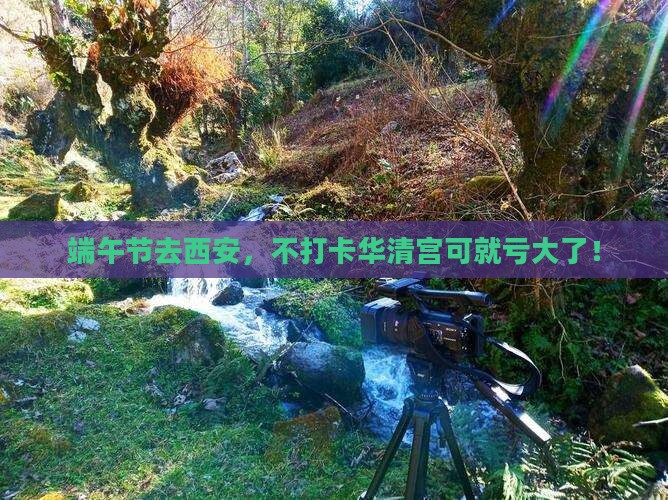 端午节去西安，不打卡华清宫可就亏大了！