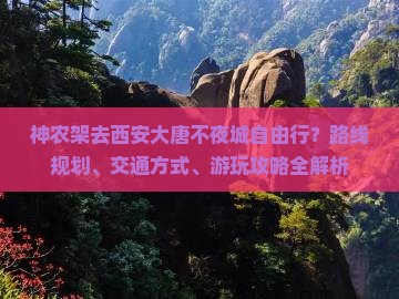 神农架去西安大唐不夜城自由行？路线规划、交通方式、游玩攻略全解析