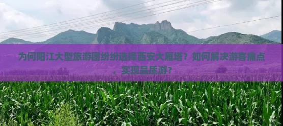 为何阳江大型旅游团纷纷选择西安大雁塔？如何解决游客痛点，实现品质游？