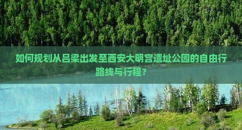 如何规划从吕梁出发至西安大明宫遗址公园的自由行路线与行程？