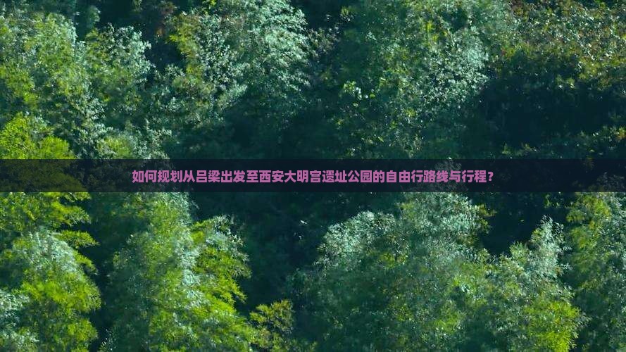 如何规划从吕梁出发至西安大明宫遗址公园的自由行路线与行程？
