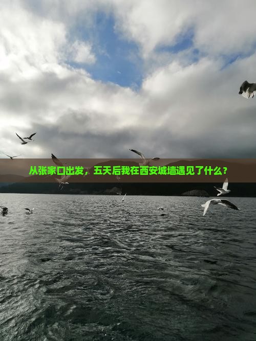 从张家口出发，五天后我在西安城墙遇见了什么？