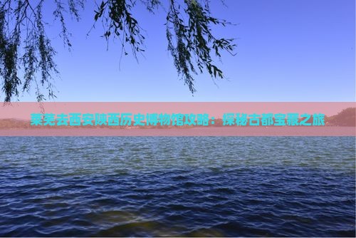 莱芜去西安陕西历史博物馆攻略：探秘古都宝藏之旅