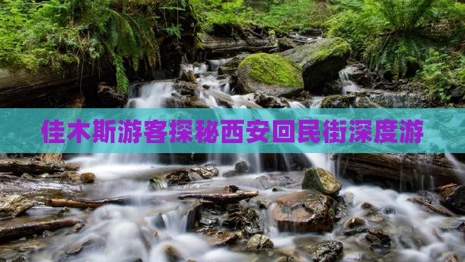 佳木斯游客探秘西安回民街深度游