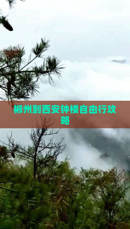 郴州到西安钟楼自由行攻略
