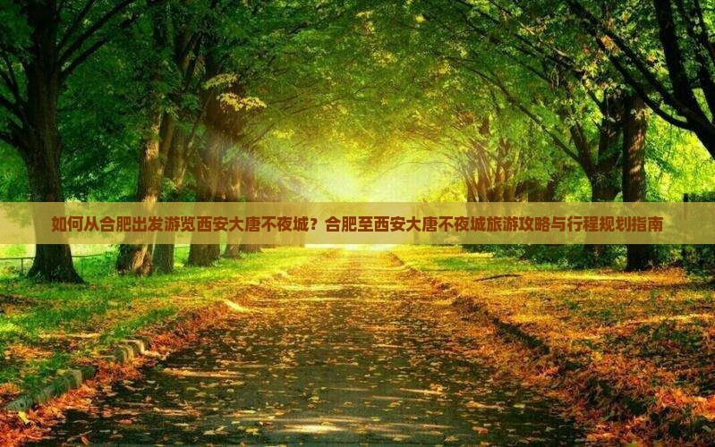 如何从合肥出发游览西安大唐不夜城？合肥至西安大唐不夜城旅游攻略与行程规划指南